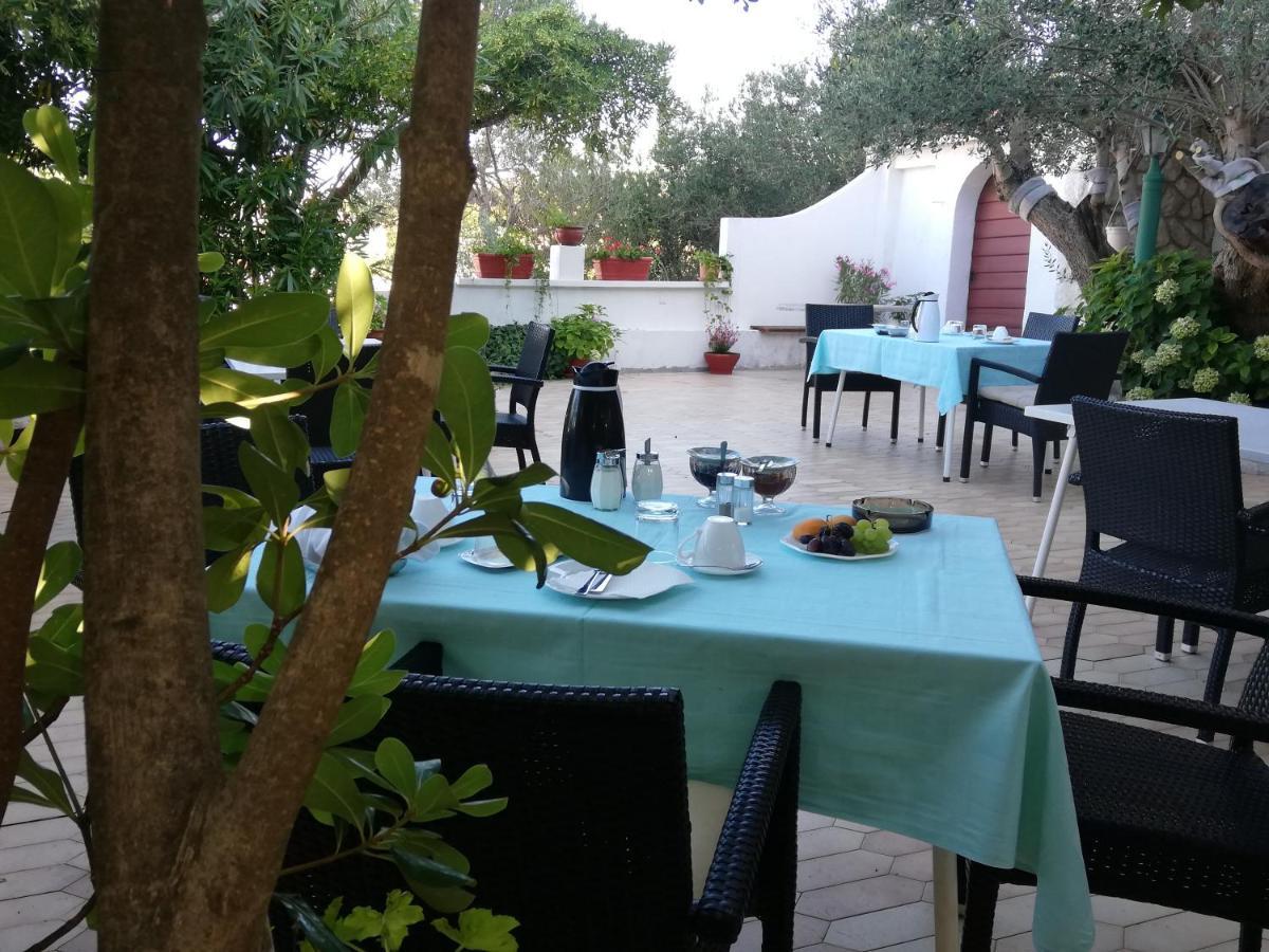 Riviera Rooms And Apartments Palit Экстерьер фото